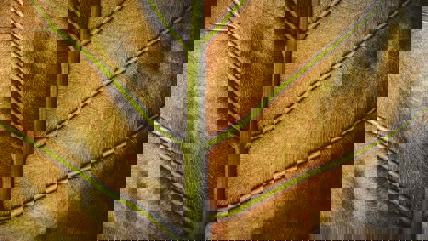 Screenshot 2024 07 09 At 22.54.35