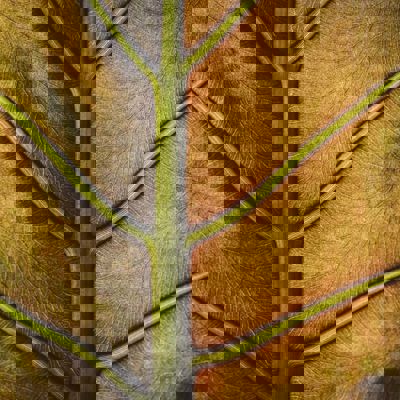 Screenshot 2024 07 09 At 22.54.35