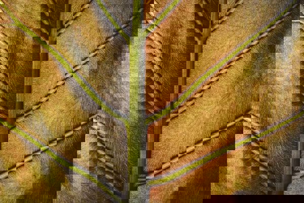 Screenshot 2024 07 09 At 22.54.35