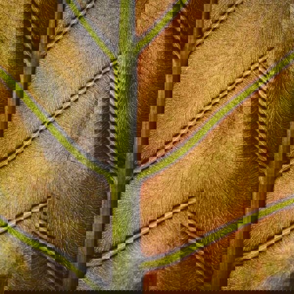 Screenshot 2024 07 09 At 22.54.35