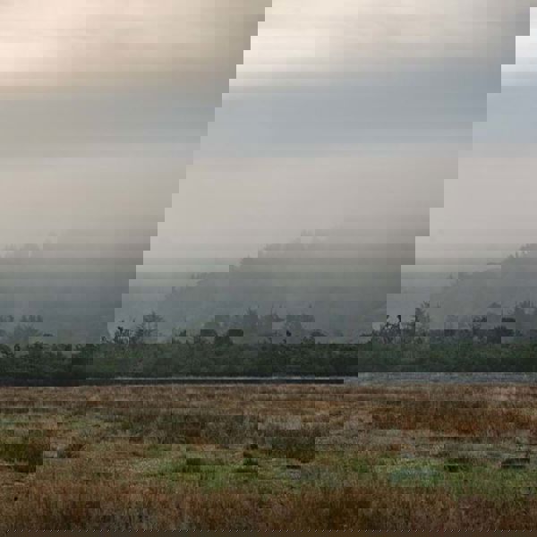 4C3c8bdeaeb7d88932a4283da72bb913bbbbccf2